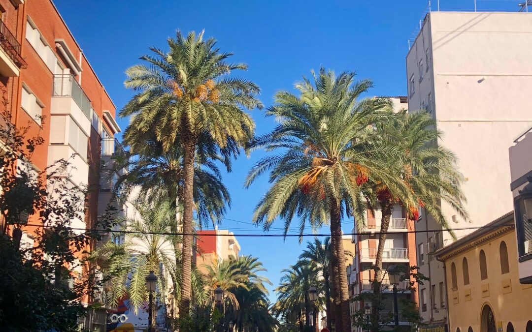 barrios Valencia más demandados 2026 dónde comprar